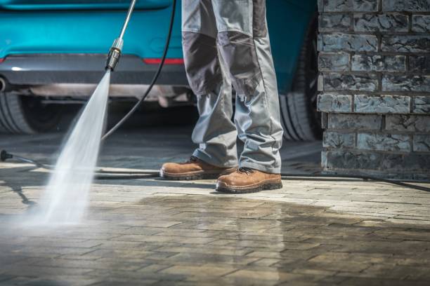 Best Fleet Vehicle Washing  in Dickinson, TX