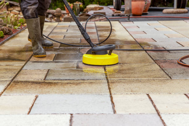 Best Pre-Holiday Cleaning  in Dickinson, TX
