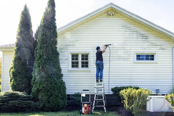 Best House Exterior Washing  in Dickinson, TX